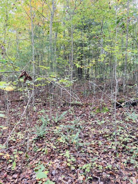 1050 Main St, Mckee, KY 40447 photo 36