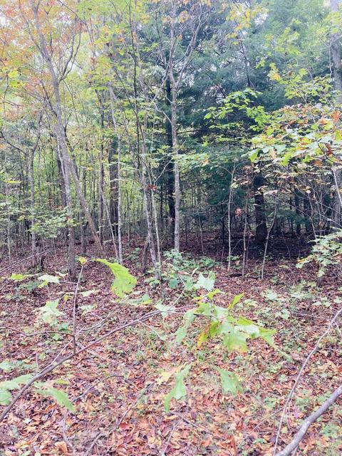 1050 Main St, Mckee, KY 40447 photo 35