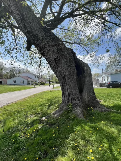 350 Centerville Ln, Georgetown, KY 40324 photo 8