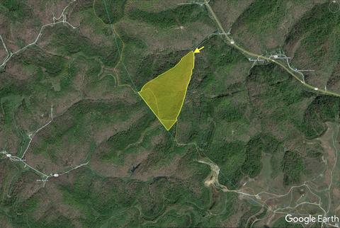 0 Ray Branch Rd, Prestonsburg, KY 41653