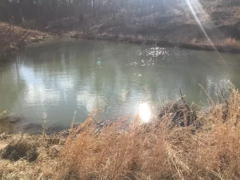 1455 Tidal Wave Road Rd, Corbin, KY 40701 photo 19