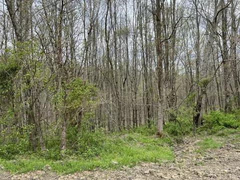 lot Apt 46 Laredo Dr, London, KY 40741