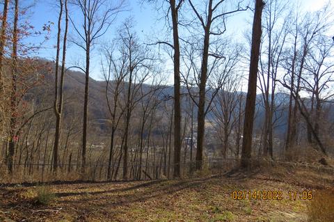 875 Hwy 1084, Baxter, KY 40806 photo 111