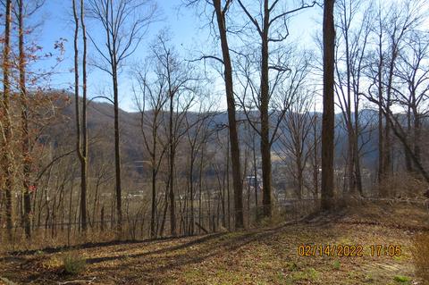 875 Hwy 1084, Baxter, KY 40806 photo 110