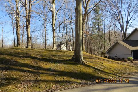 875 Hwy 1084, Baxter, KY 40806 photo 86