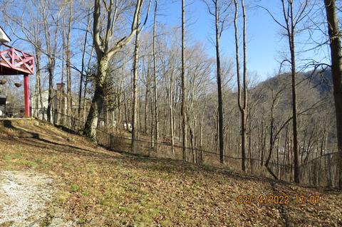 875 Hwy 1084, Baxter, KY 40806 photo 115