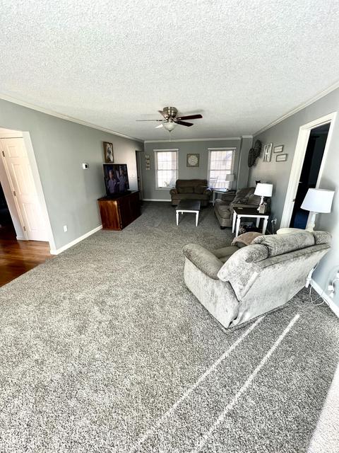 41 Bronson Forest Dr, Morehead, KY 40351 photo 6