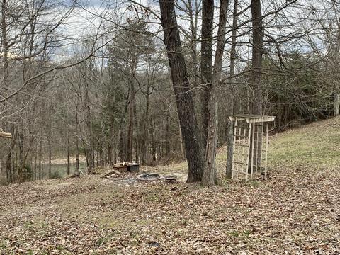 333 Grandview Lane Ln, Strunk, KY 42649 photo 14