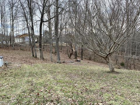 333 Grandview Lane Ln, Strunk, KY 42649 photo 13