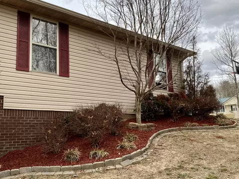 333 Grandview Lane Ln, Strunk, KY 42649 photo 6