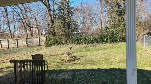 105 Bourbon Ct, Georgetown, KY 40324 photo 3