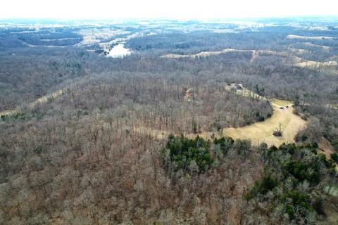 137 Forest Path Drive Dr, Georgetown, KY 40324 photo 15
