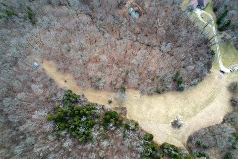 137 Forest Path Drive Dr, Georgetown, KY 40324 photo 4