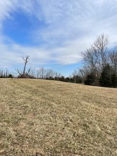 137 Forest Path Drive Dr, Georgetown, KY 40324 photo 11