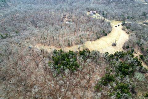 137 Forest Path Drive Dr, Georgetown, KY 40324 photo 6