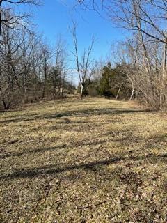 137 Forest Path Drive Dr, Georgetown, KY 40324 photo 13
