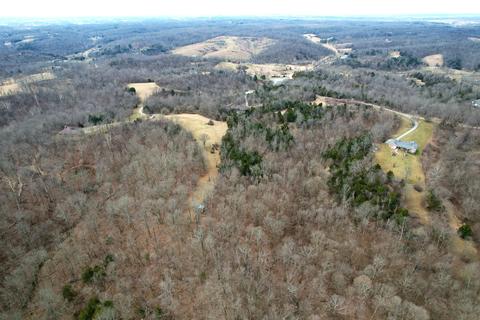 137 Forest Path Drive Dr, Georgetown, KY 40324 photo 17