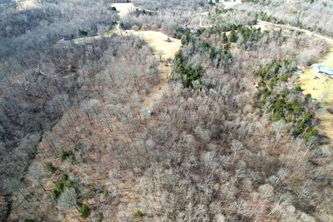 137 Forest Path Drive Dr, Georgetown, KY 40324 photo 16