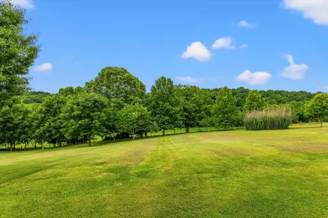 180 Cedar Lk, Ewing, KY 41039 photo 46