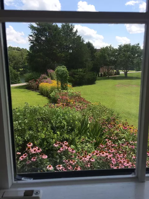 180 Cedar Lk, Ewing, KY 41039 photo 51