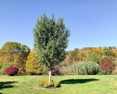 180 Cedar Lk, Ewing, KY 41039 photo 55