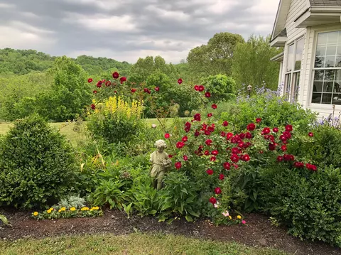 180 Cedar Lk, Ewing, KY 41039 photo 54