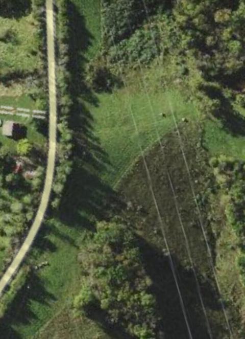 2439 Rankin Mill Rd, Falmouth, KY 41040