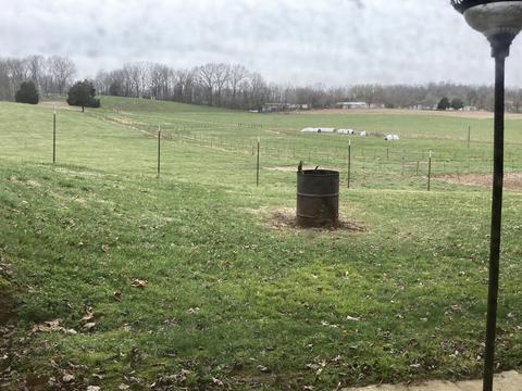 4580 Old Bull Rd, Eubank, KY 42567 photo 43