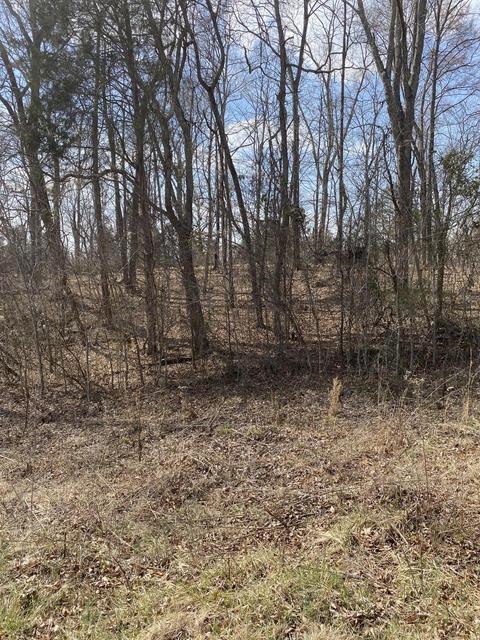 lot2 N Fork Rd, Burnside, KY 42519