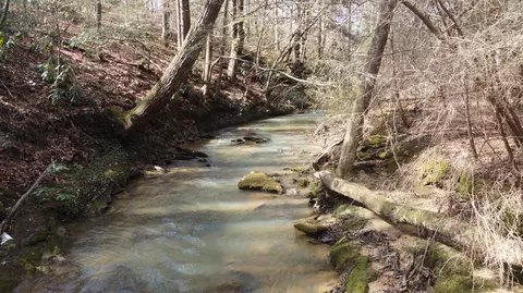 3089 Level Green Rd, Corbin, KY 40701 photo 57