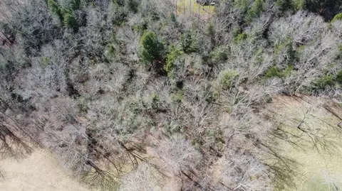 3089 Level Green Rd, Corbin, KY 40701 photo 51
