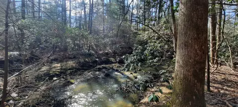 3089 Level Green Rd, Corbin, KY 40701 photo 16