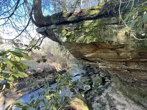 3089 Level Green Rd, Corbin, KY 40701 photo 47