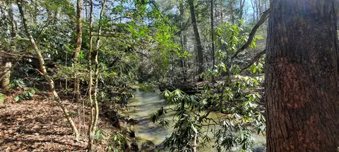 3089 Level Green Rd, Corbin, KY 40701 photo 15