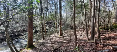 3089 Level Green Rd, Corbin, KY 40701 photo 7