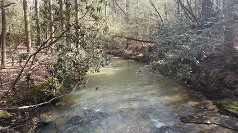 3089 Level Green Rd, Corbin, KY 40701 photo 35