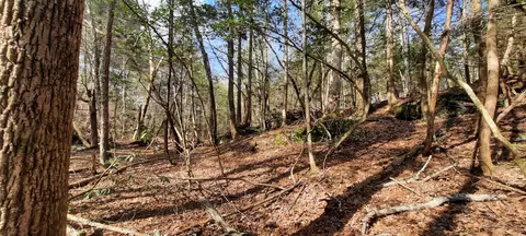 3089 Level Green Rd, Corbin, KY 40701 photo 14