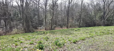 3089 Level Green Rd, Corbin, KY 40701 photo 33