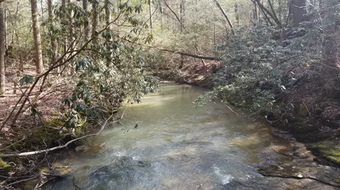 3089 Level Green Rd, Corbin, KY 40701 photo 56