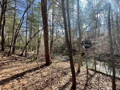 3089 Level Green Rd, Corbin, KY 40701 photo 45