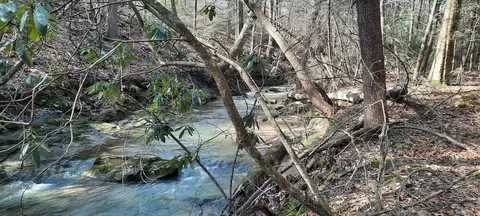 3089 Level Green Rd, Corbin, KY 40701 photo 2