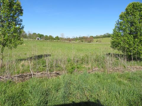 1070 Craig Crossing Rd, Winchester, KY 40391