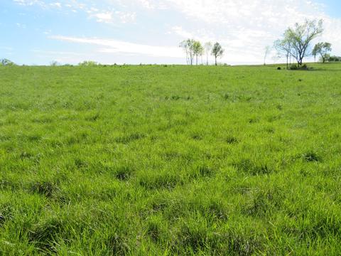 1240 Craig Crossing Rd, Winchester, KY 40391