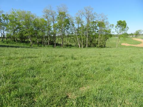 1400 Craig Crossing Rd, Winchester, KY 40391