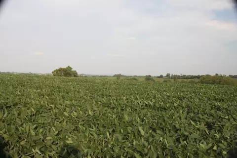 2200 Spencer Rd, Mount Sterling, KY 40353