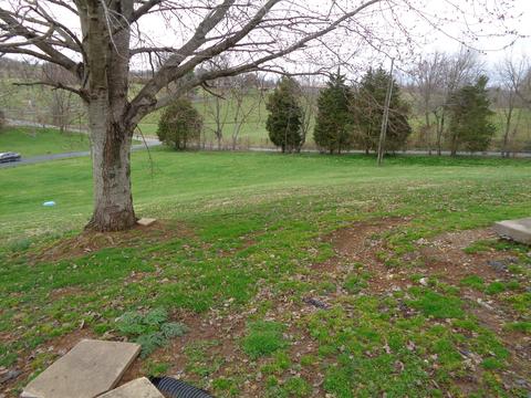 539 Bowmans Bottom Rd, Lancaster, KY 40444 photo 12
