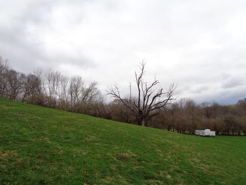 539 Bowmans Bottom Rd, Lancaster, KY 40444 photo 25