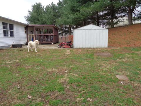 539 Bowmans Bottom Rd, Lancaster, KY 40444 photo 9