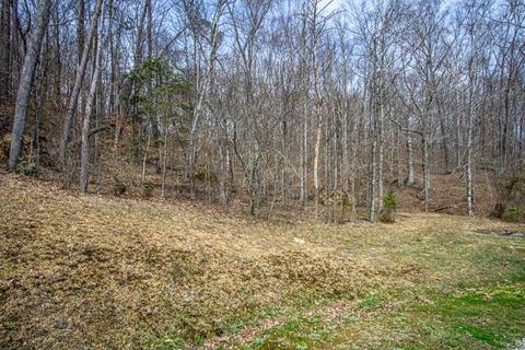 700 River Rd, Williamsburg, KY 40769 photo 48