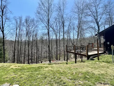 3065 Mine 18 Rd, Strunk, KY 42649 photo 46
